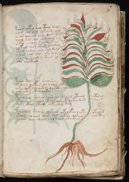Voynich_Manuscript-7_page-0001 Voynich manuscript